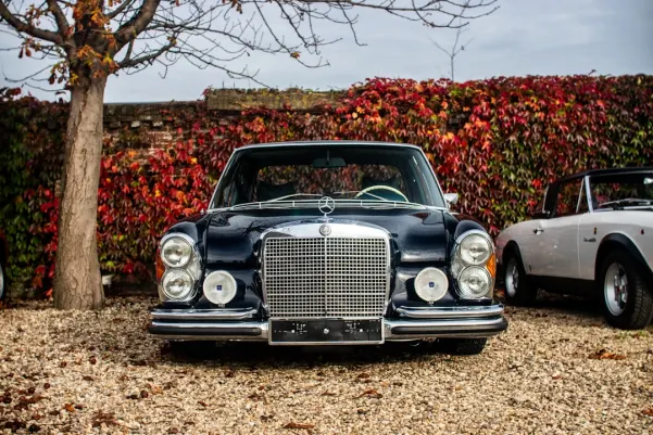 BlueChip Casino Application Android/iOS